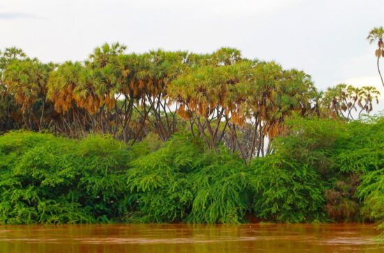 Fluss in Somalia