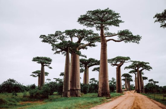 Madagaskar Landschaft